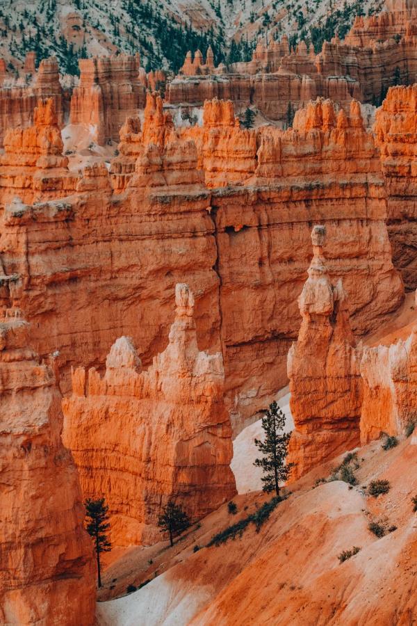 Wander Camp Bryce Canyon - Escalante Cannonville Exterior photo
